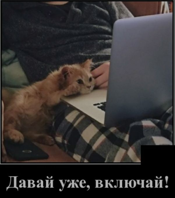 Давай уже включай