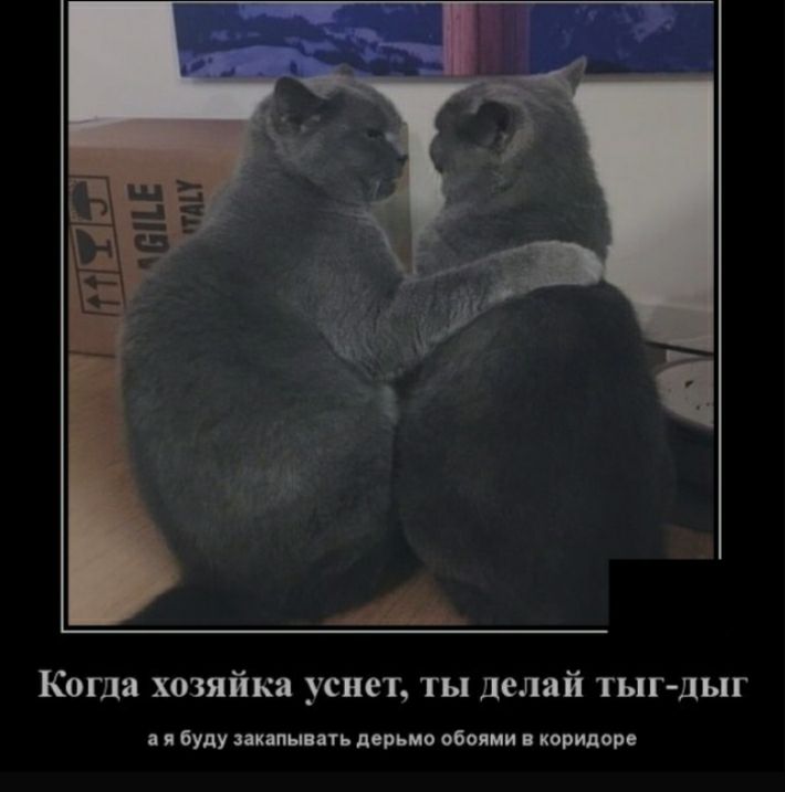Когда хозяйка уснет ты делай тыг дыг я буду якапыпать дерьмо обоями коридоре