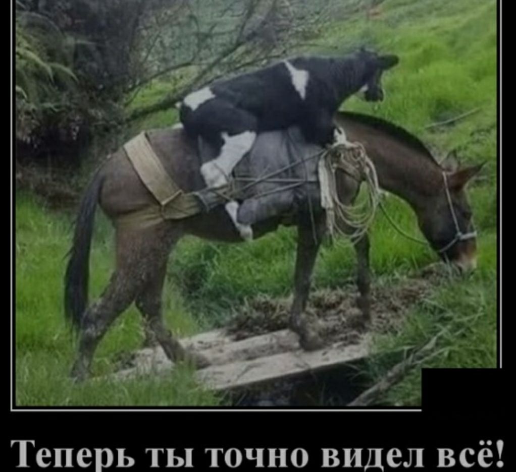 Теперь ты точно видел всё