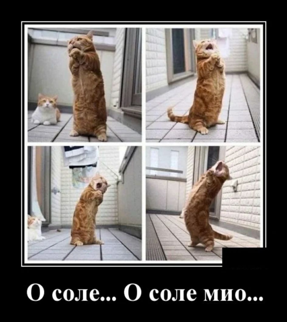 о и М е л 0 с О О селе