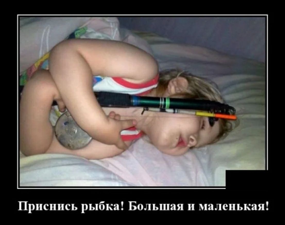 Приснись рыбка Большая и маленькая