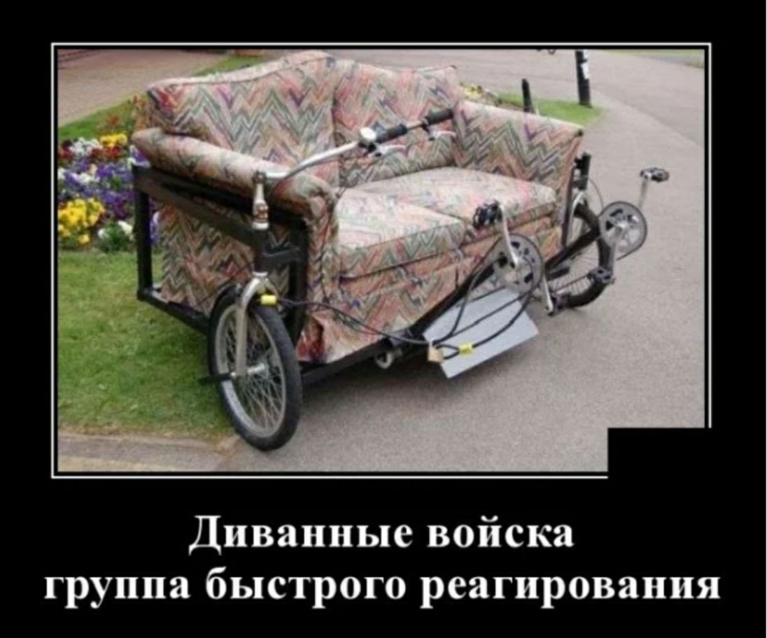 Диванные войска группа быстрого реагирования