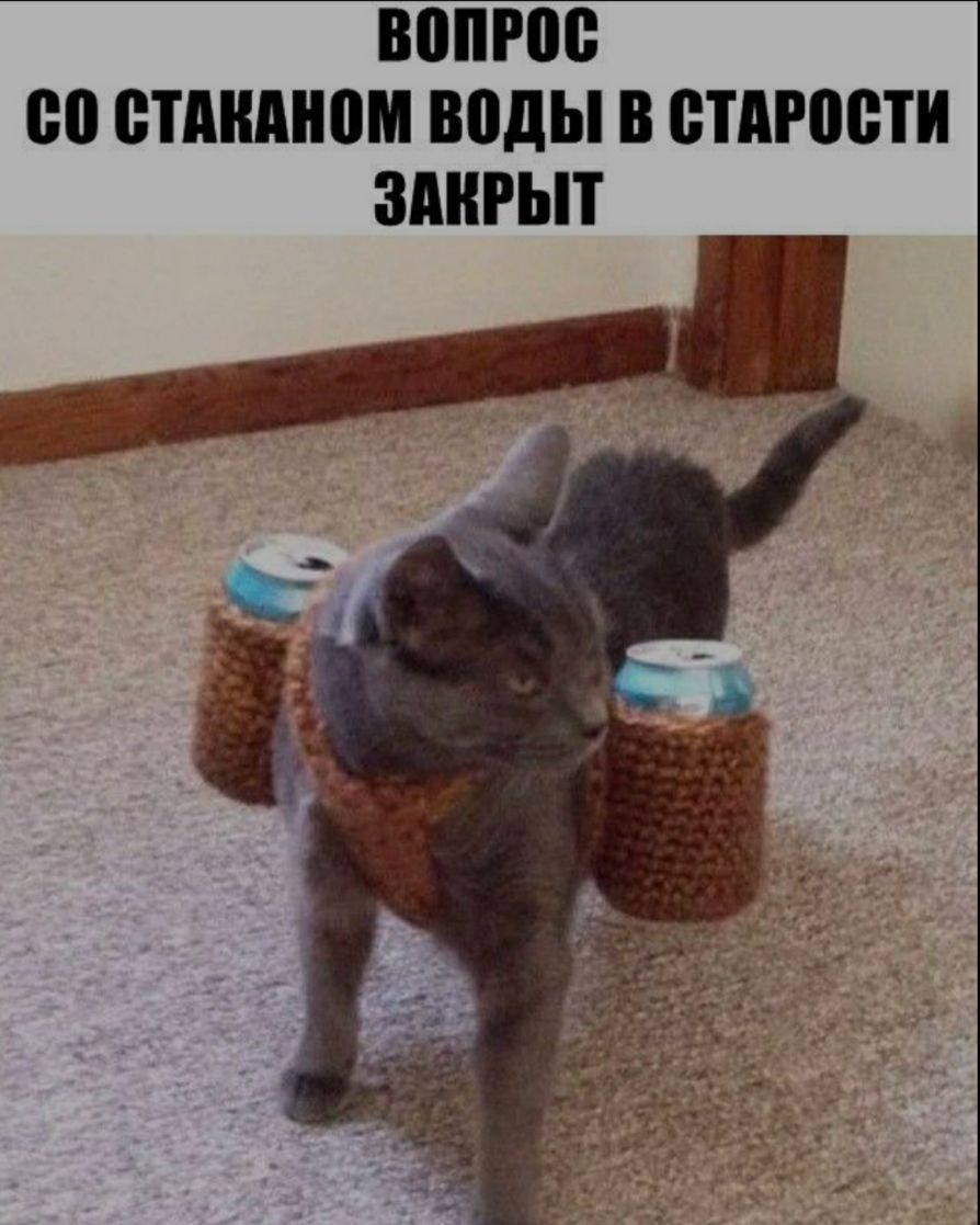ВШМ со ВТМШНВМ ВВДЫ В БТАРПВТИ ЗАКРЫТ