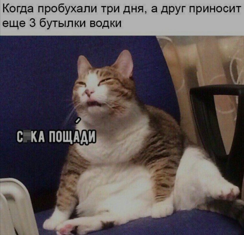 Когда пробухали три дня а друг приносит еще 3 бутылки водки С КА ПОЩАЁЙ