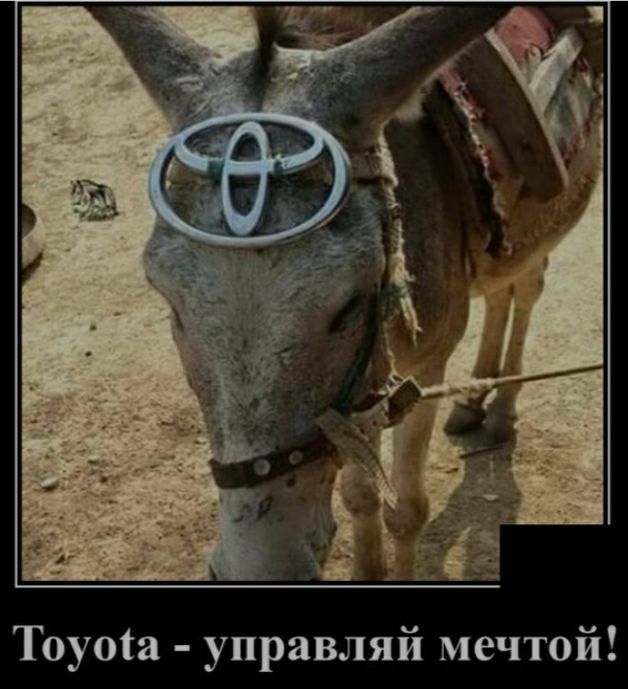 Тоуоіа управляй мечтой