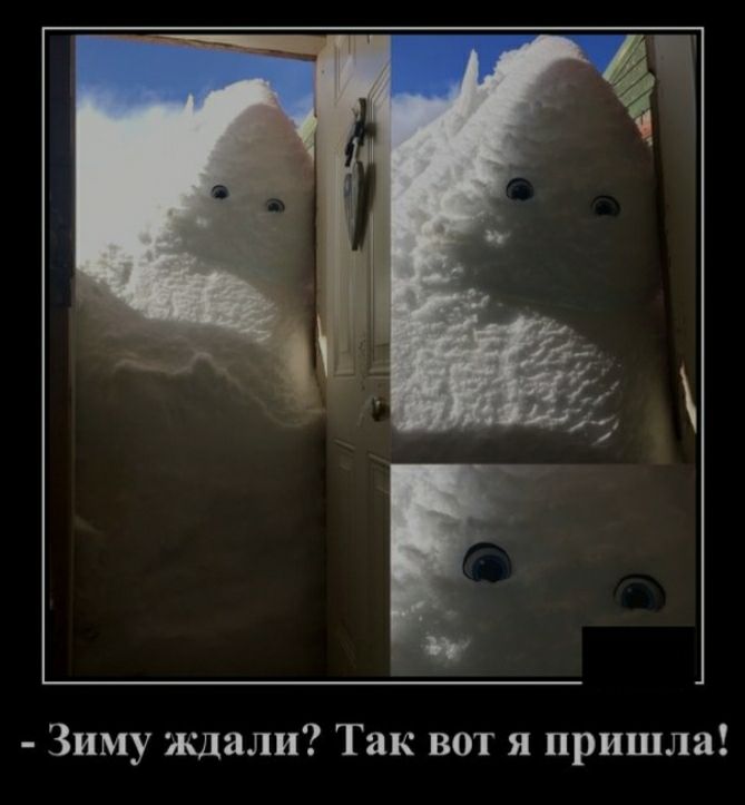 Зиму ждали Так вот я пришла