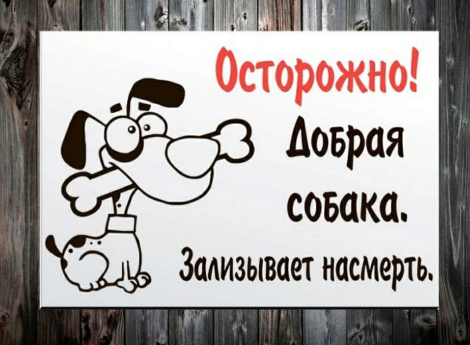 ПЦЕПЩМ совака Зализывает насмерть