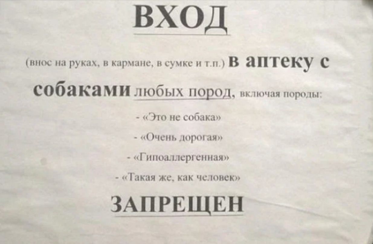 ВХОД анис на руках Карши и сучкс г н В аптеку с собаками Л Юбых 92071 пк пп шя поради г то не Собака _ чст юрт для Гнпоаылсря сшшя Такая же как человек ЗАПРЕЩЕБ