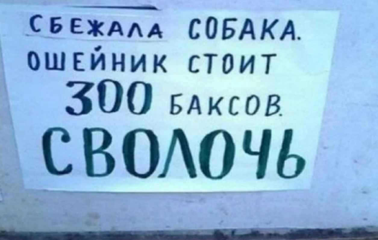 _СБЕЖААА СОБАКА ОШЕИНИК СТОИТ 300 БАКСОВ СВООЧЬ и _ іё