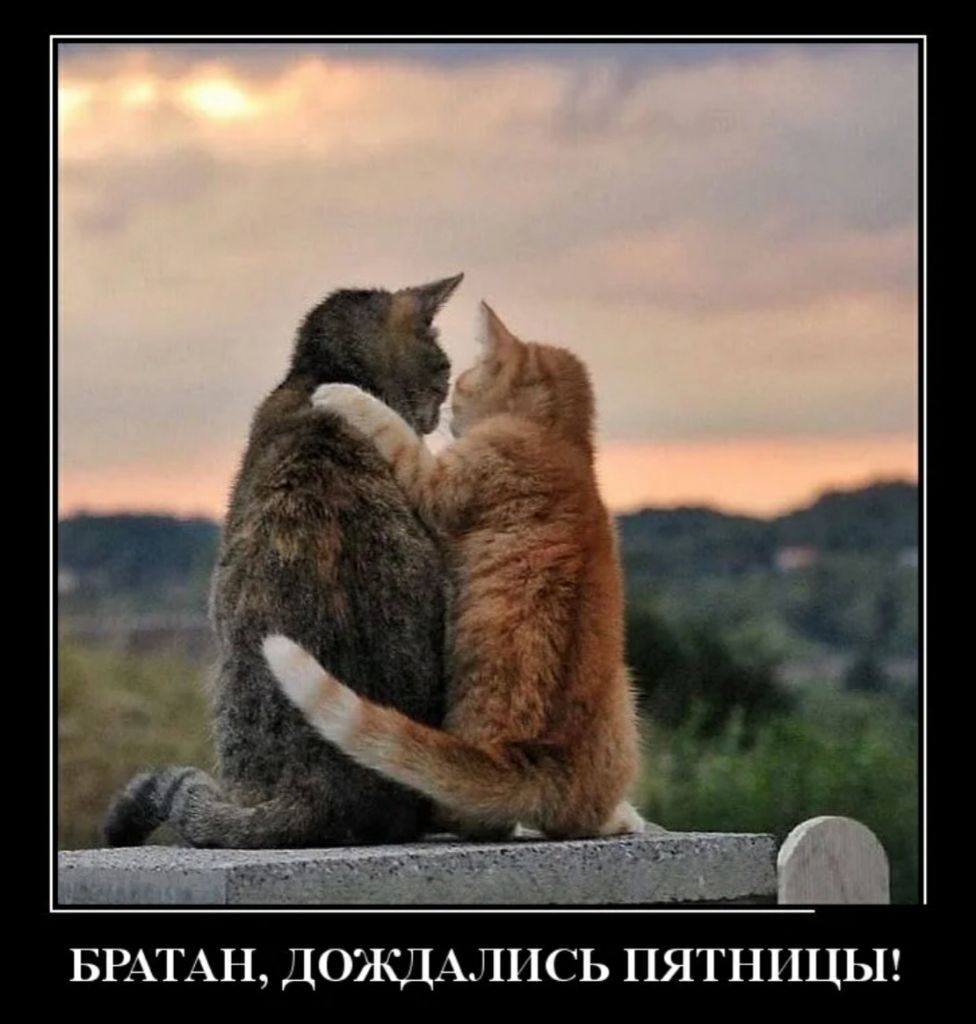 БРАТАН ДОЭКДАЛПСЬ ПЯТНПЦЬП