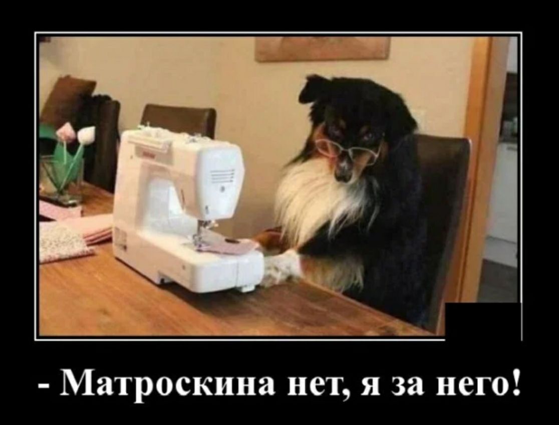 Матроскина нет я за него