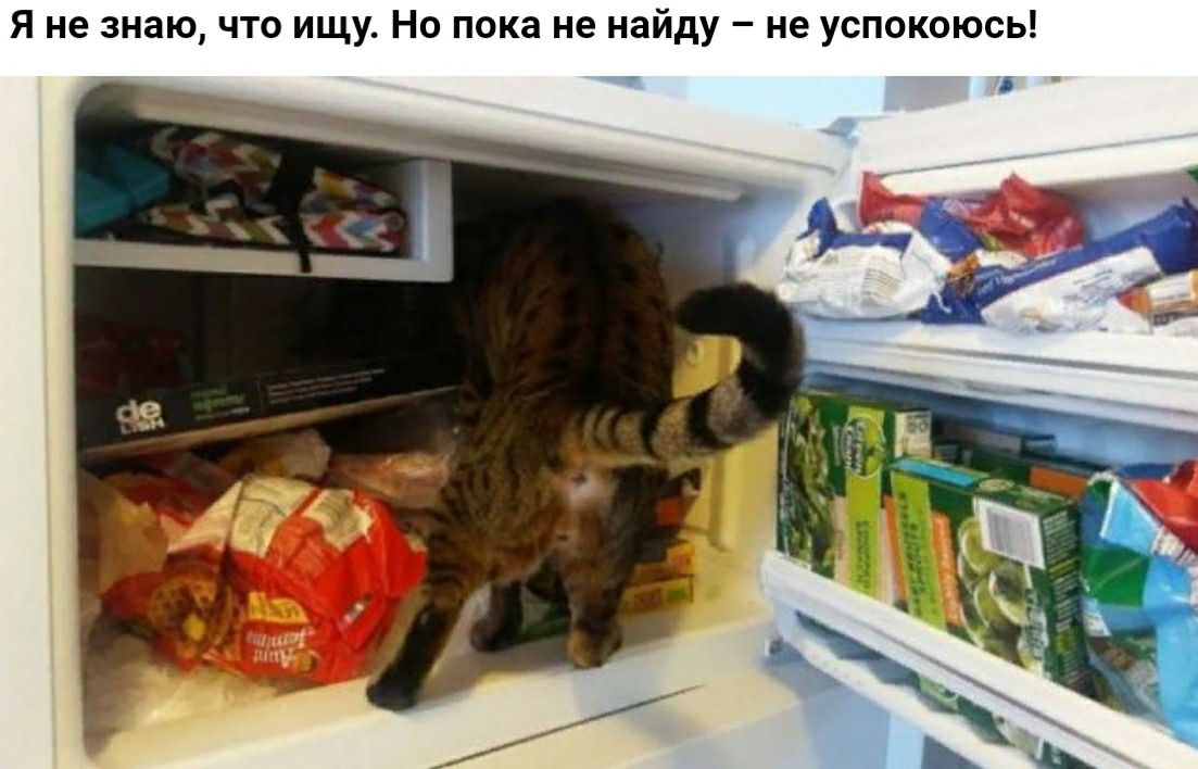 Я не знаю что ищу Но пока не найду не успокоюсь
