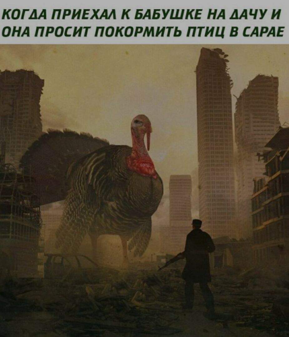 КОГДА ПРИЕХАА К БАБУШКЕ НА ДАЧУ И ОНА ПРОСИТ ПОКОРМИТЬ ПТИЦ В САРАЕ