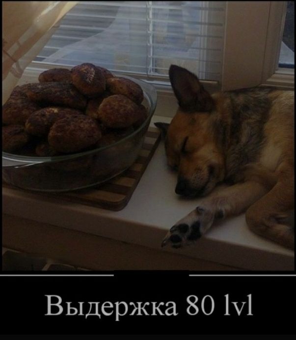 Выдержка 80 М