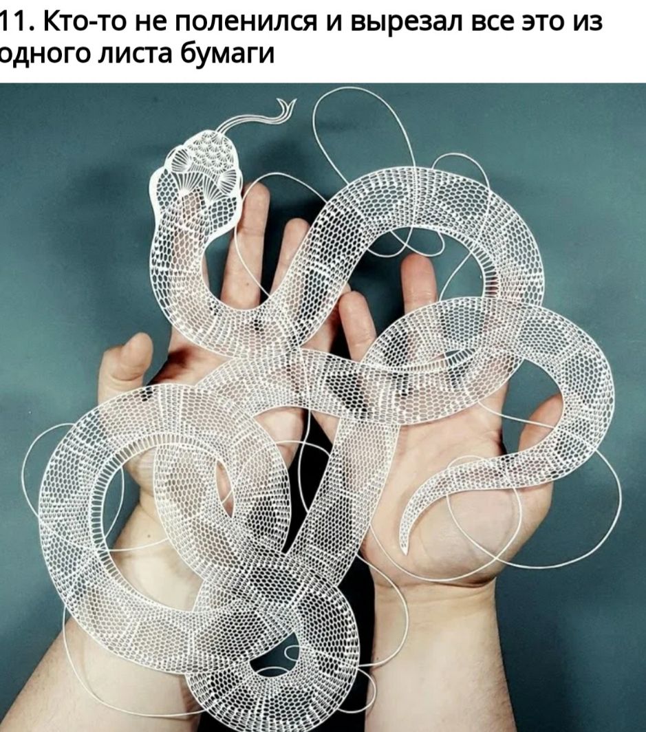 ТО ТО не поленился И вырезал ВСЕ ЭТО ИЗ ОДНОГО листа бумаги
