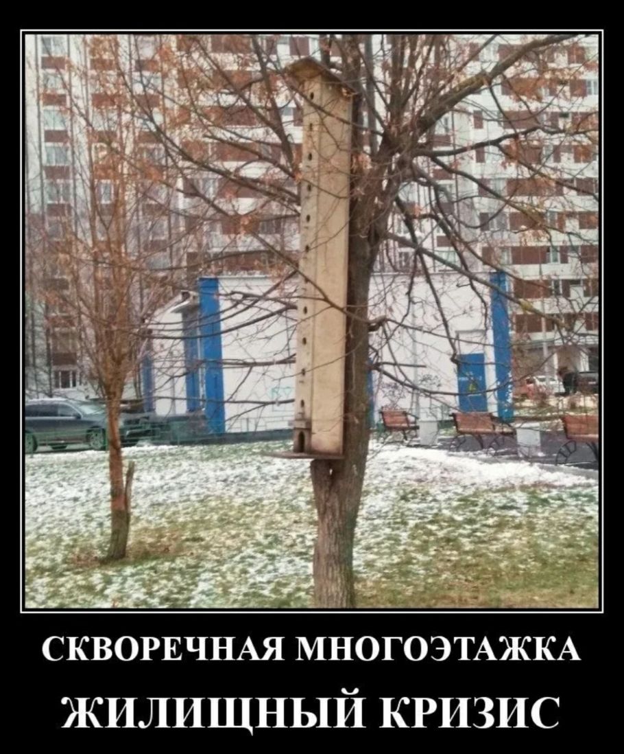 СКВОРЕЧНАЯ МНОГОЭТАЖКА жилищный КРИЗИС
