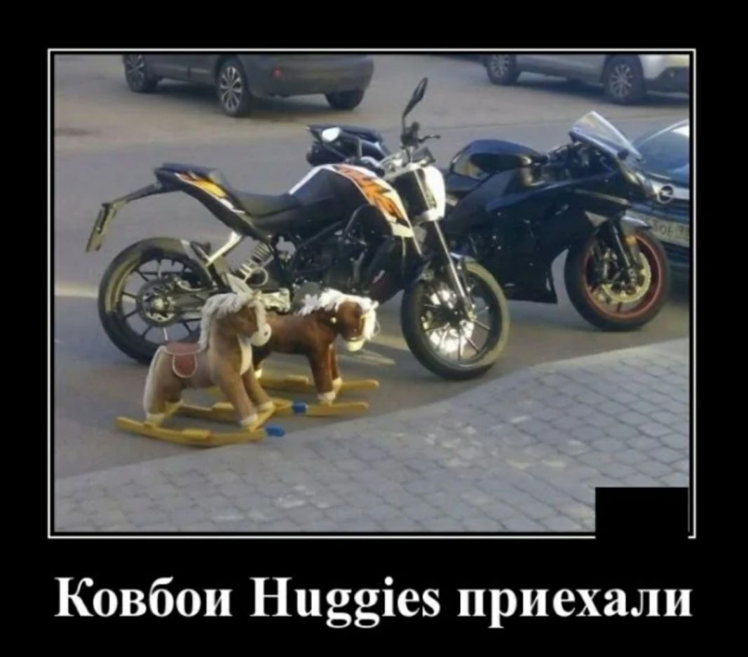 Ковбои Нцддіев приехали