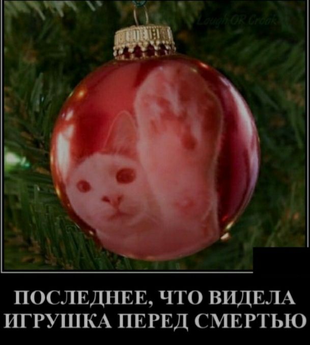 ПОСЛЕДНЕЕ ЧТО ВИДЕЛА ИГРУШКА ПЕРЕД СМЕРТЬЮ
