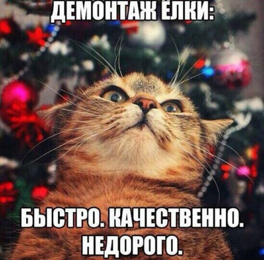 ЧЕМПЩАЖ ИНН а ц 7 я _ выстюмдчютвінно ншоюю