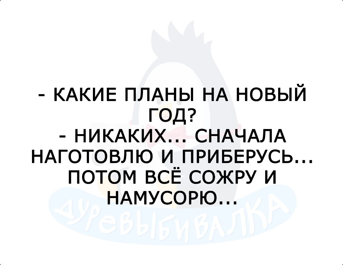 КАКИЕ ПЛАНЫ НА НОВЫЙ ГОД НИКАКИХ СНАЧАЛА НАГОТОВЛЮ И ПРИБЕРУСЬ ПОТОМ ВСЁ СОЖРУ И НАМУСОРЮ
