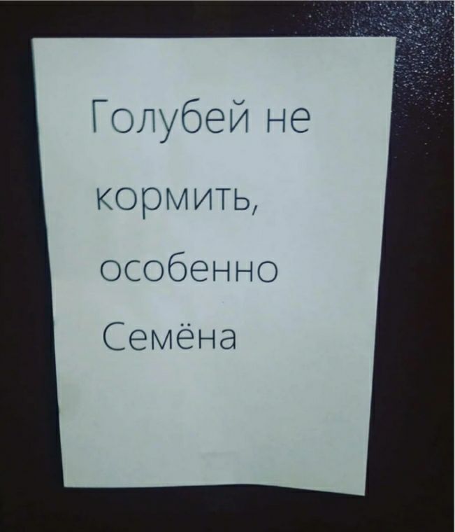 Голубой не кормить особенно Семёна