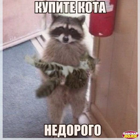 НЕд0Р0Г0