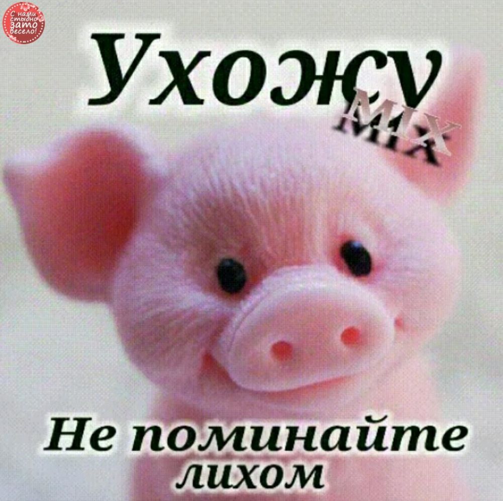 Не поминайте лихом