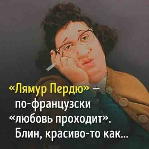 Лямур Перд по французски любовь проходит Блин красиво то как