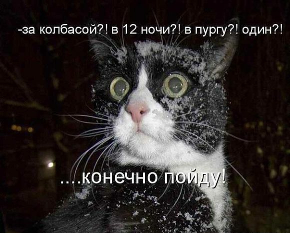 за колбасой в 12 ночи в пургу один