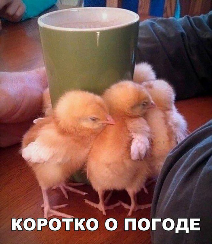 око ПогодЕ КОРОТ