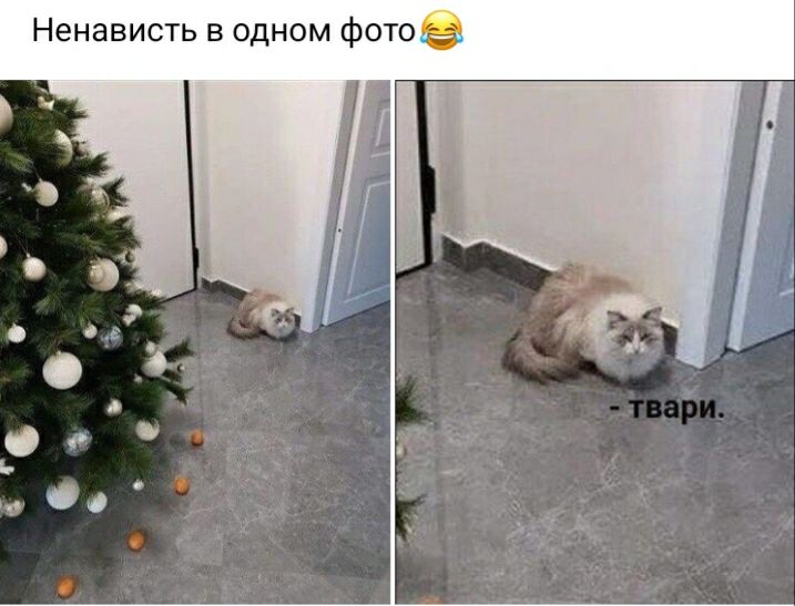 Ненависть в одном фото