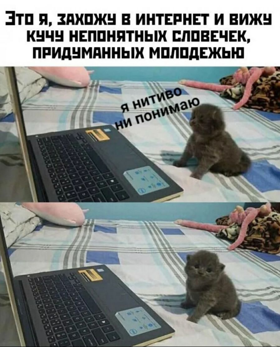 ЭТП Я ЗдХПЖН В ИНТЕРНЕТ И ВИЖН КНЧН НЕППНПТНЫХ ПППВЕЧЕК