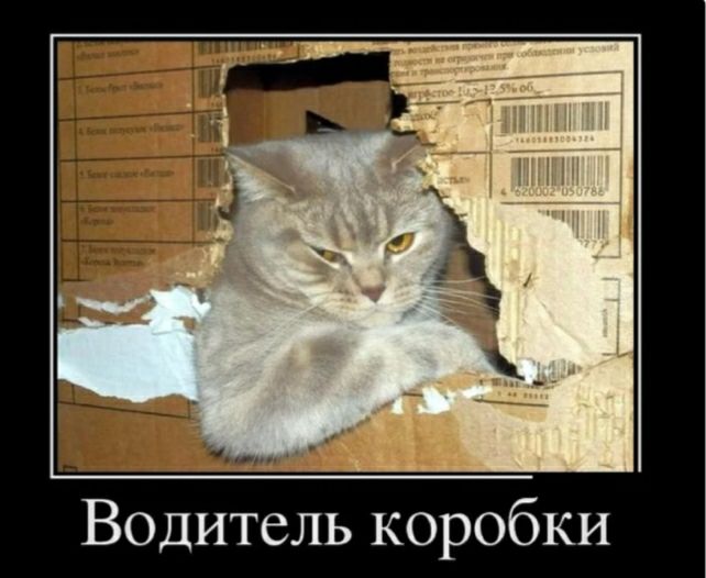 Водитель коробки