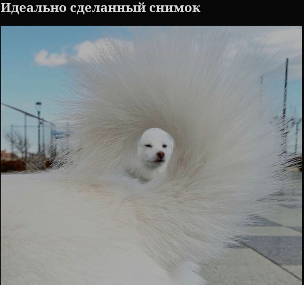 Идеально сделанный снимок 5 Ё