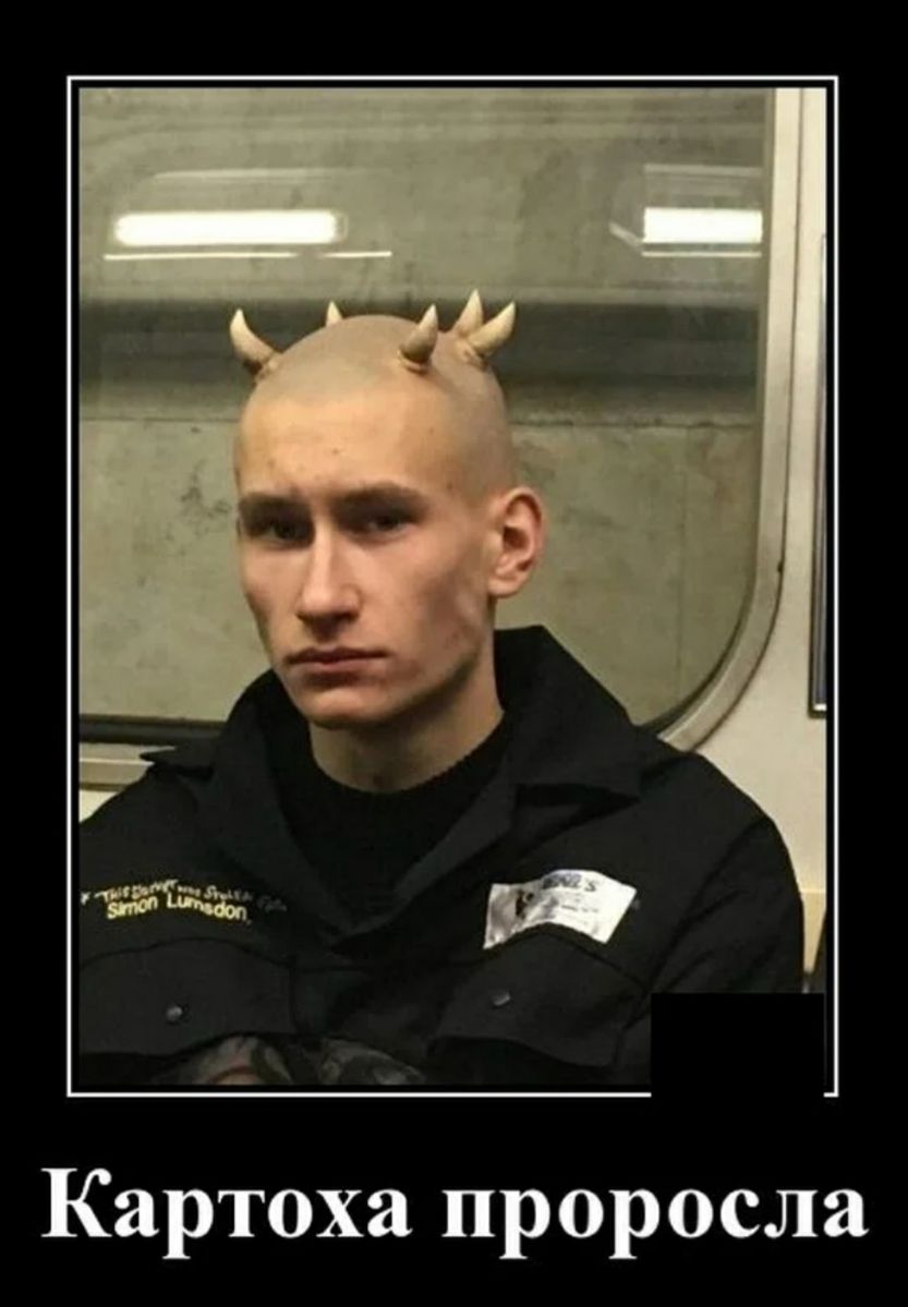 Картоха проросла
