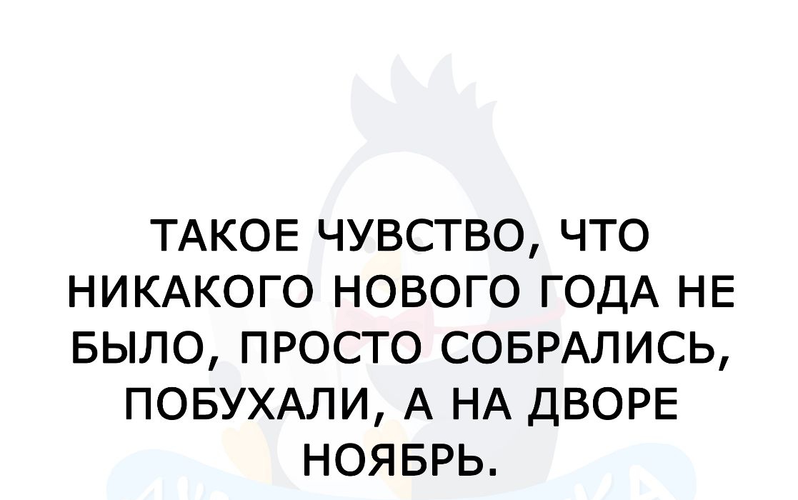ТАКОЕ ЧУВСТВО ЧТО НИКАКОГО НОВОГО ГОДА НЕ БЫЛО ПРОСТО СОБРАЛИСЬ ПОБУХАЛИ А НА ДВОРЕ НОЯБРЬ