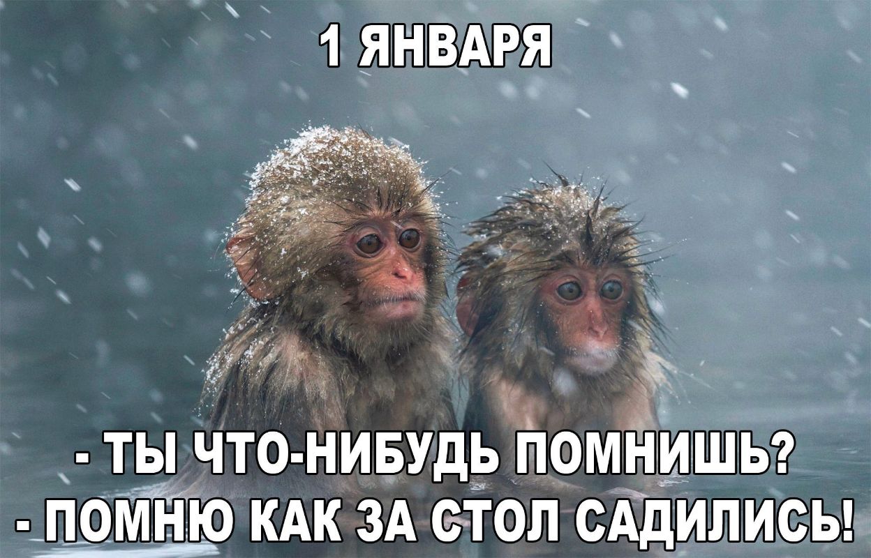 1 ЯНВАРЯ 1 _Ь ЧТО НИБУДЬ ПОМНИШЬ НОМНЮ КАК ЗА СТОЛ САДИЛИСЬ