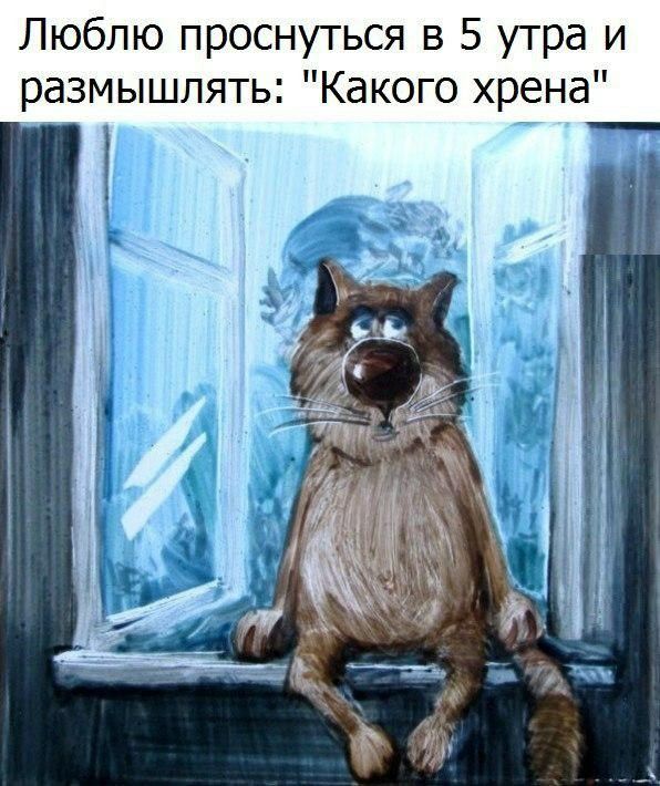Люблю проснуться в 5 утра и размышлять Какого хрена