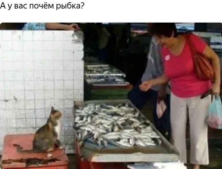 А у вас почём рыбка