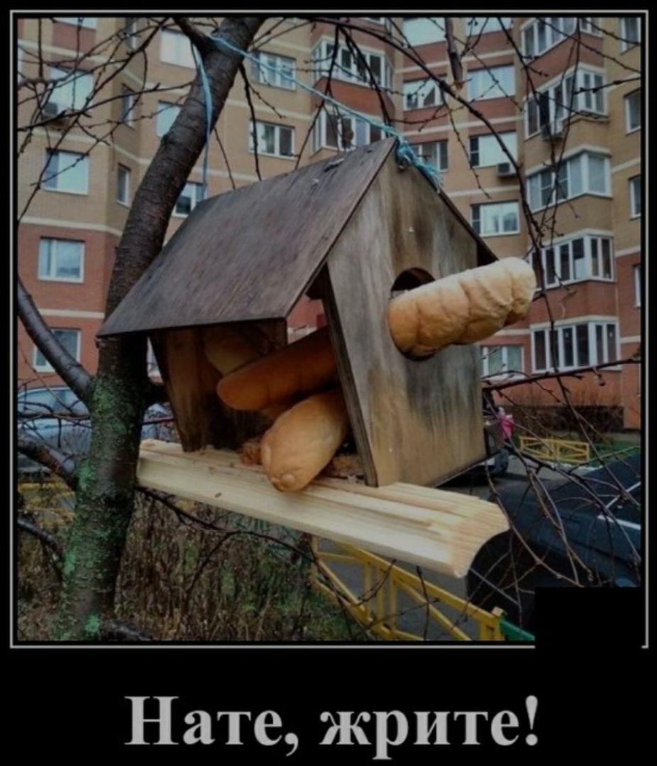 Нате жрите