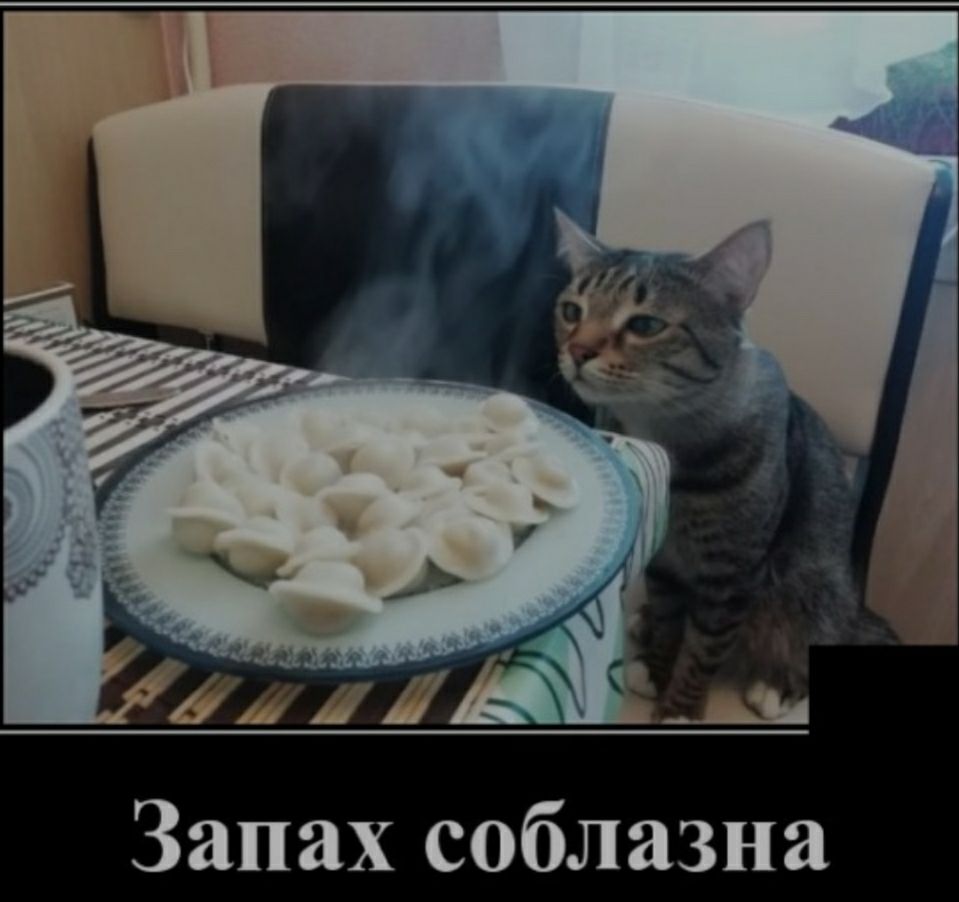 Запах соблазна