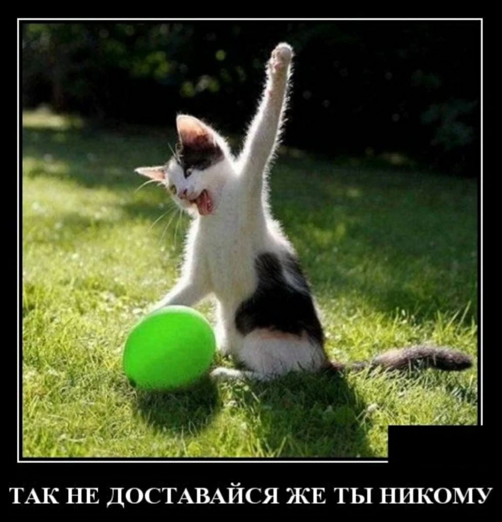 ТАК НЕ ДОСТАВАЙСЯ ЖЕ ТЫ ЪШКОМУ