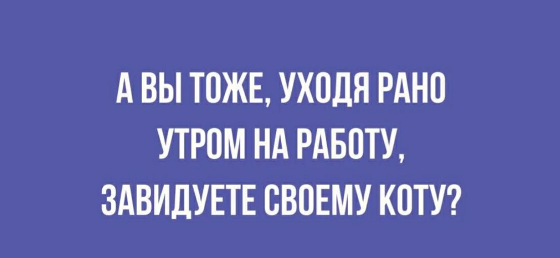 А ВЫ ТОЖЕ УХПДЯ РАНО УТРОМ НА РАБОТУ ЗАВИДУЕТЕ СВОЕМУ КОТУ