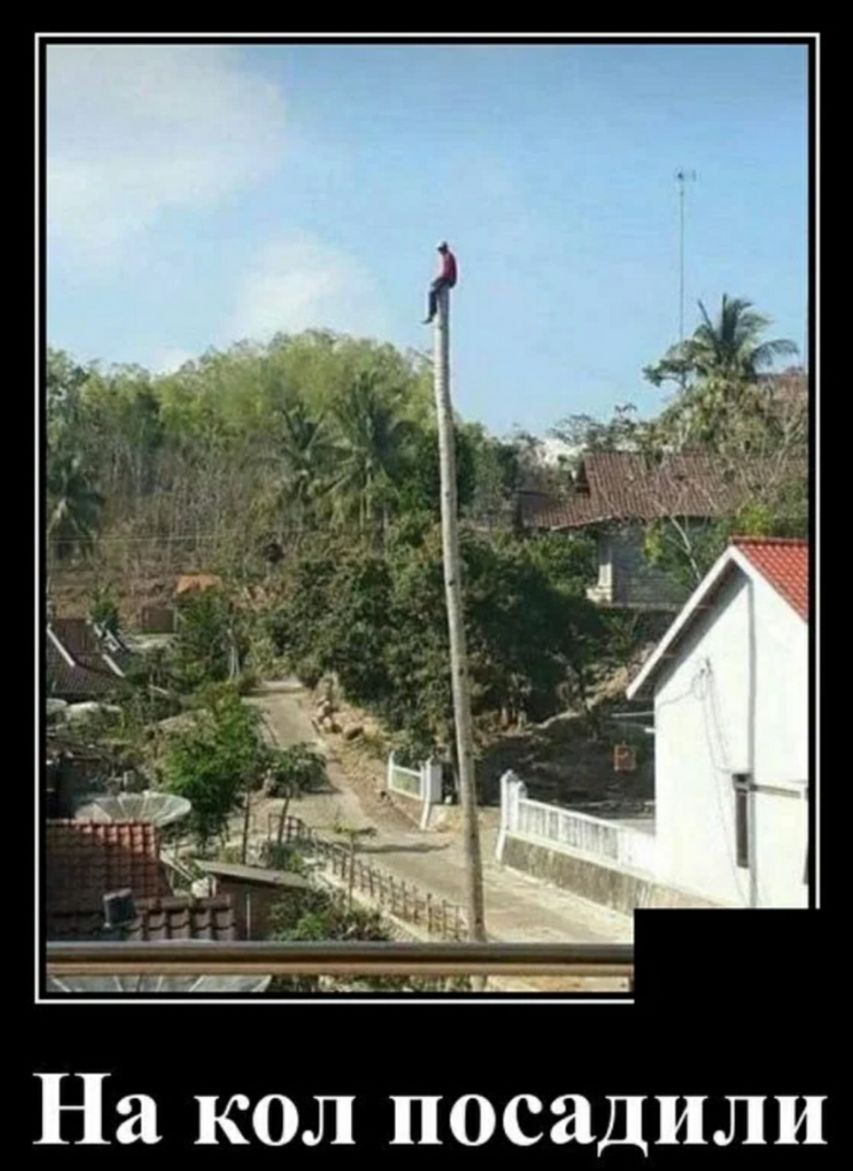 На кол посадили