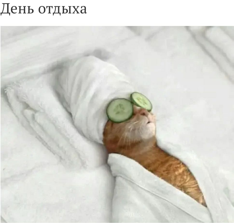 День отдыха