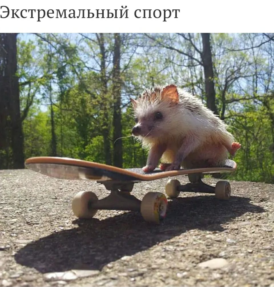 Экстремальный спорт