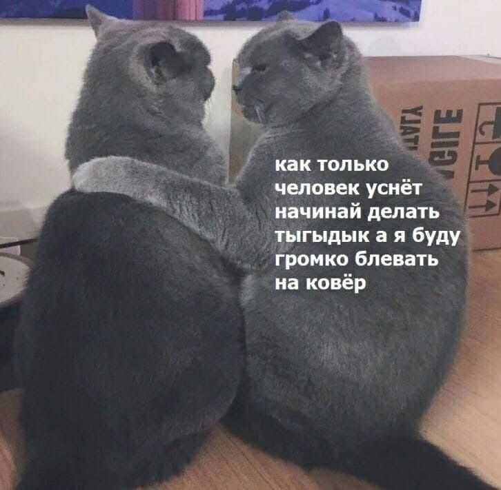 человек уснёт начинай делать тыгыдык а я буду Бром ко блевать на ковёр