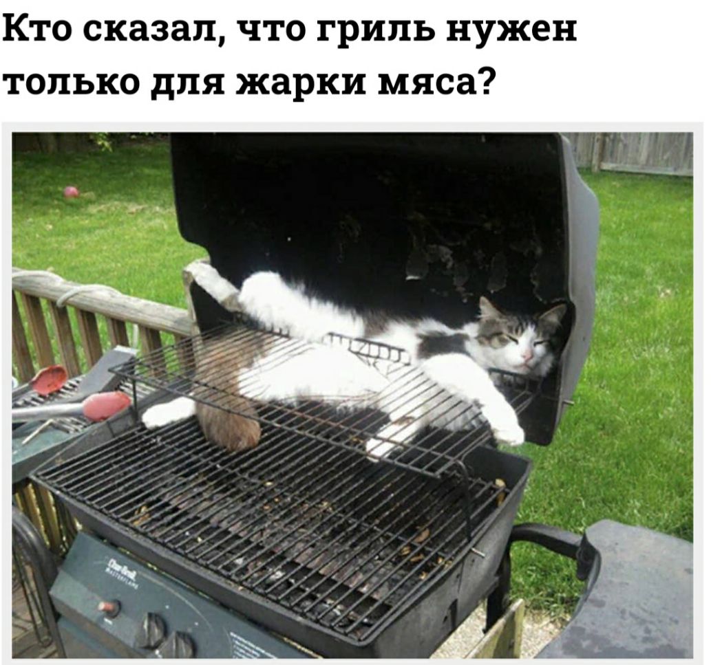 Кто сказал что гриль нужен только для жарки мяса
