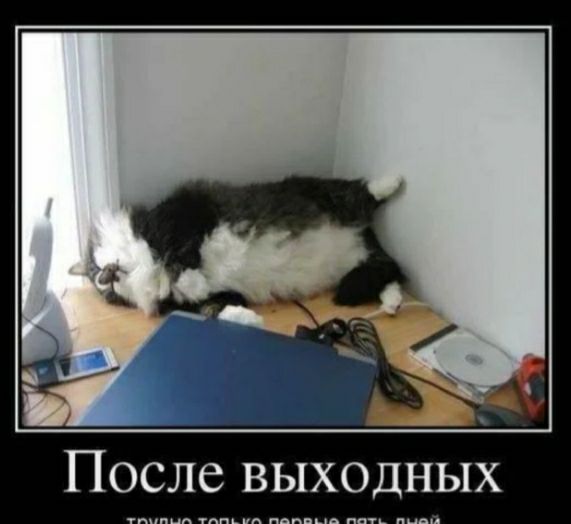 После выходных