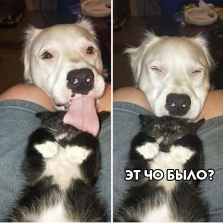 1 эт нэ вьмог